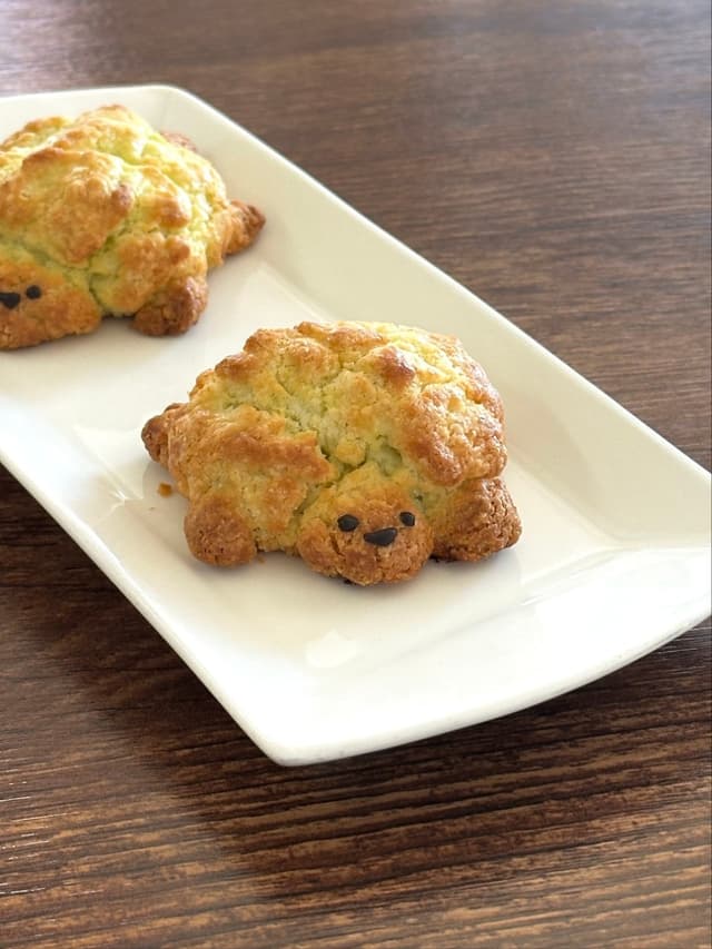 샌드뱅크 럭키백 사진