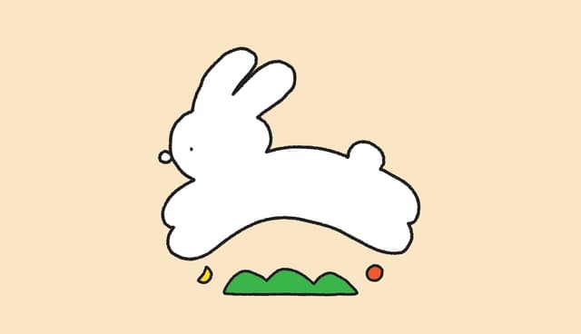 토끼네 럭키백 사진