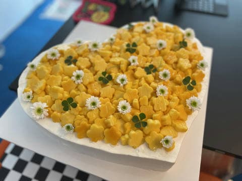그래,좋아 cake shop 럭키백 사진